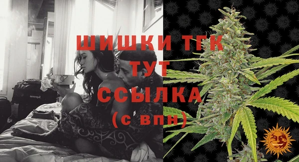 spice Абаза
